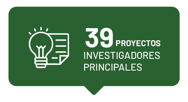 Proyectos investigadores principales