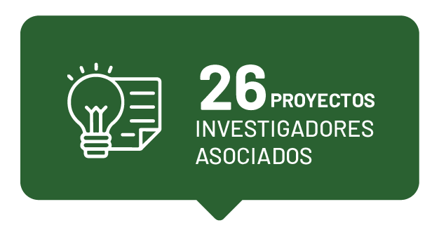 Proyectos investigadores