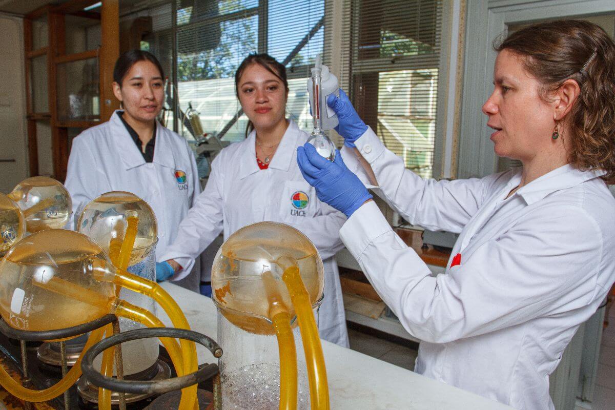 Ingeniería en Alimentos 09